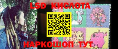 прущие грибы Рыбинск